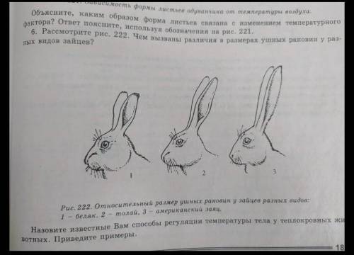 ВАС Я ПОДПИШУСЬ И ЛАЙКИ ПОСТПВЛЮ остальные задания в профиле 