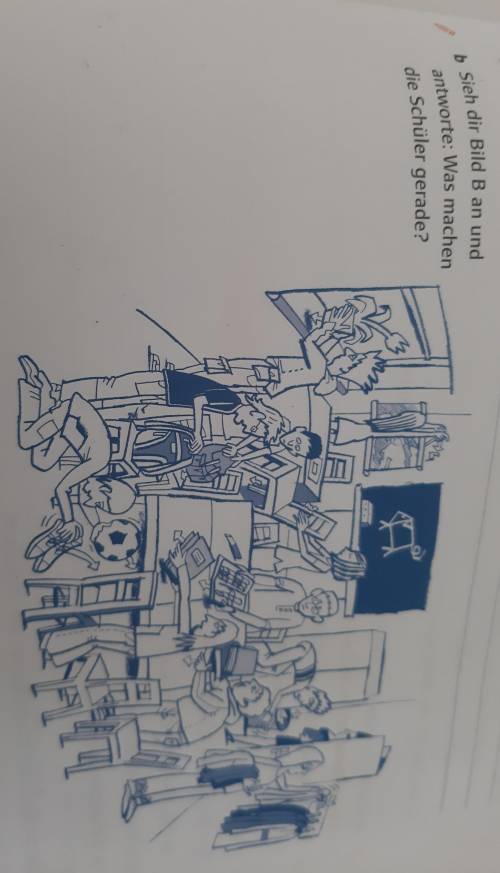 Ein Schüler stellt die Pflanze...