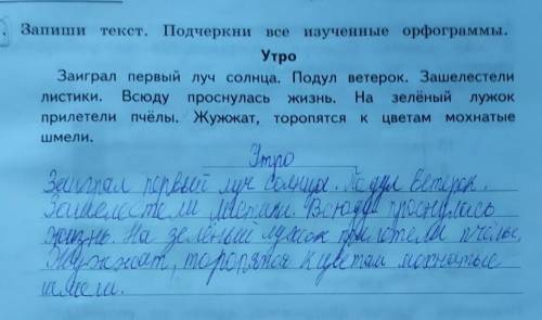 Запиши текст подчеркни все изученные орфограммы 3 класс