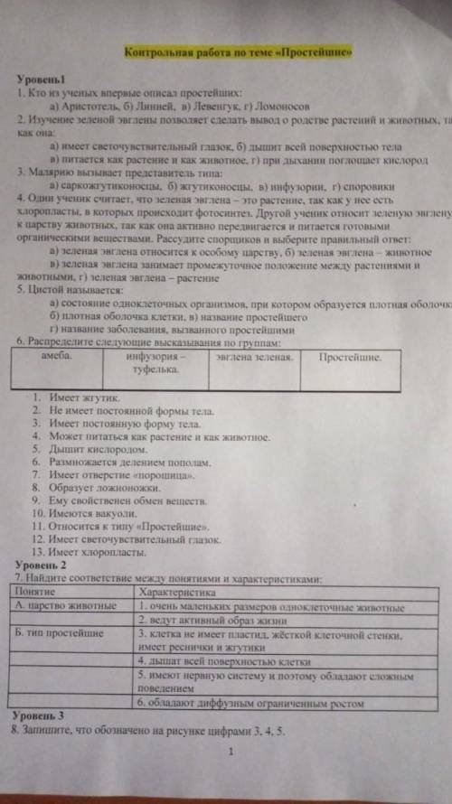 Контрольная работа 7 класс Простейшие