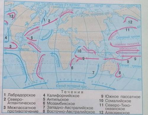Какая существует закономерность распространения теплых и холодных течений у западных и восточных поб