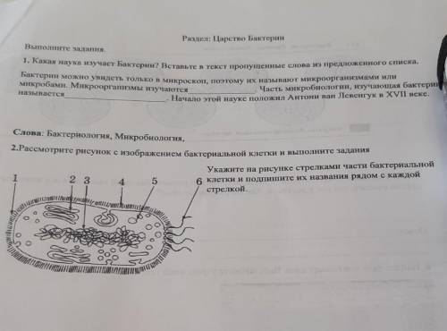 Рассмотрите рисунок с изображением бактериальной клетки и выполните задания
