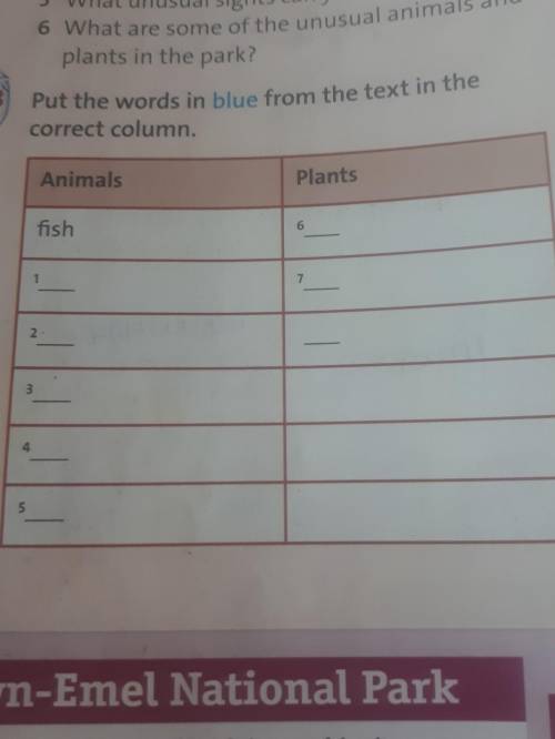Put the words in blue from the text in the correct column