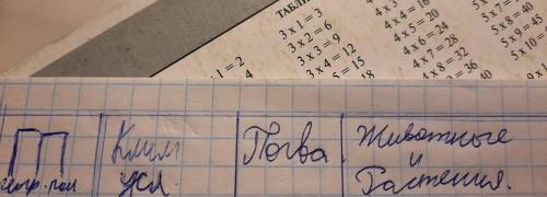 расскажите развёрнуто о жёстко листных лесах среднеземноморья, о географическом положении, климатиче