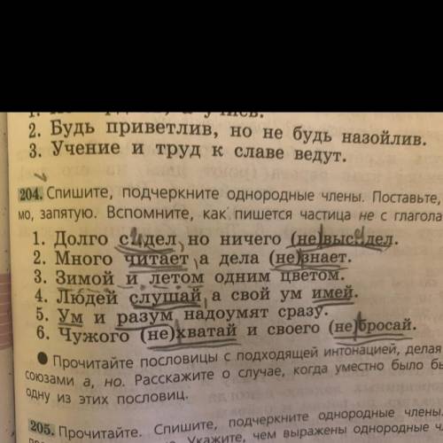 Упр. 204 составить схемы однородных членов.