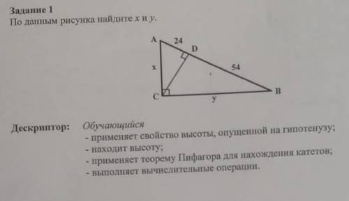 По данным рисунка найдите х и у.