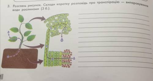 Розглянь рисунок. Склади коротку розповідь про транспірацію - випаровування води рослинами.