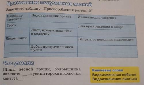 6 класс умоляю я хочу спать