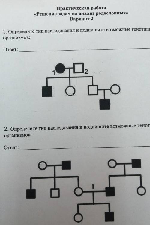 определите тип наследования и подпишите возможные генотипы организмов