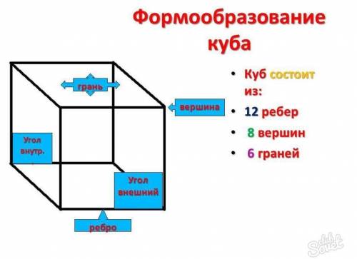 Я НЕ ПОНИМАЮ ЧТО ТАКОЕ РЕБРО КУБА! ЭТИ БОКОВЫЕ ПАЛОЧКИ? КОГДА Я ИХ СЧИТАЮ, ТО ПОЛУЧАЕТСЯ БОЛЬШЕ ЧЕМ