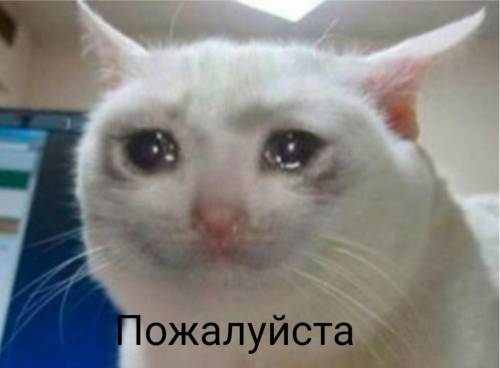 Назовите 4 характирных особенности характирных древний грецции СОР!