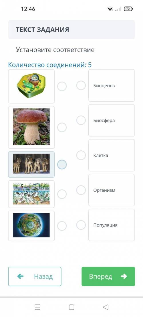 Естествознание 5 класс Соч не пишите ерунды И чтобы ответы были проверены