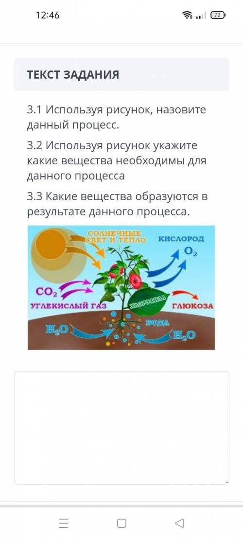 Естествознание 5 класс Соч не пишите ерунды И чтобы ответы были проверены