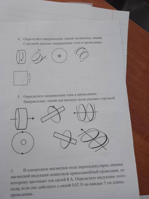 Определите направление линий магнитных линий.