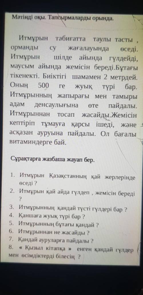 Мәтінді оқы. Тапсырмаларды орында. 2 ге Итмұрын табиғатта таулы тасты орманды су жағалауында өседі.