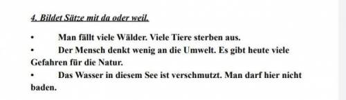 4. Bildet Sätze mit da oder weil. Man fällt viele Wälder. Viele Tiere sterben aus. Der Mensch denkt